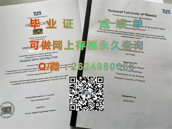 慕尼黑工业大学毕业证样本|TU München文凭|购买德国TUM成绩单|留信网认证永久查询）