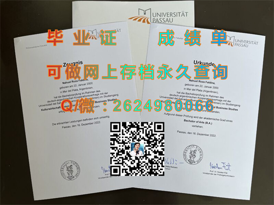 德国帕绍大学毕业证样本|University of Passau diploma|购买德国大学文凭|Uni Passau成绩单）