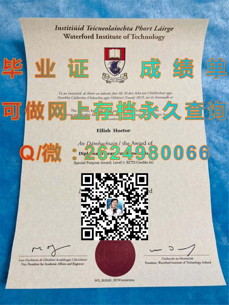 都柏林城市大学毕业证模版|diploma参考|学位证|Transcript图片|文凭样本）