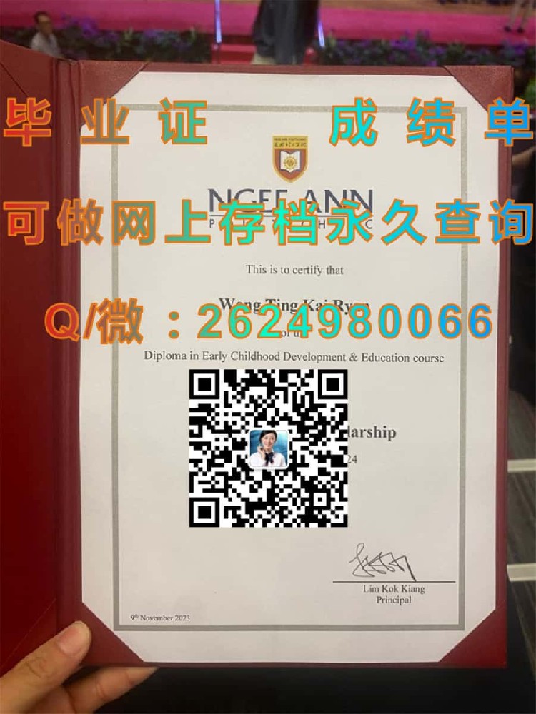 原版新加坡南阳理工大学毕业证毕业证模版|diploma参考|学位证|Transcript图片|文凭样本）