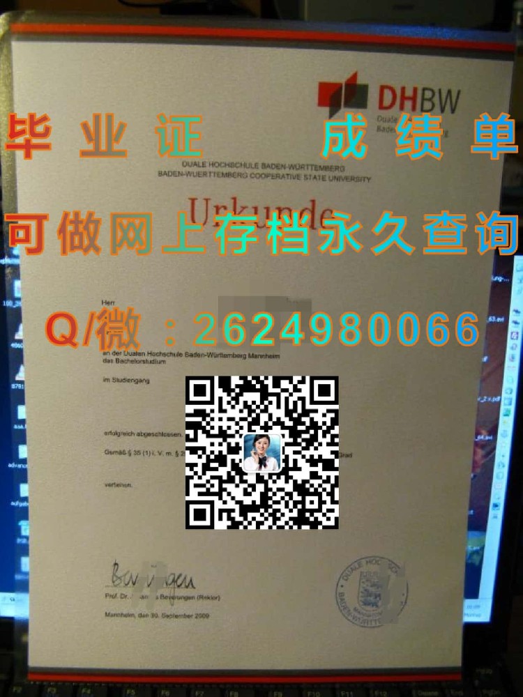 海德堡大学毕业证模版|diploma参考|学位证|Transcript图片|文凭样本）