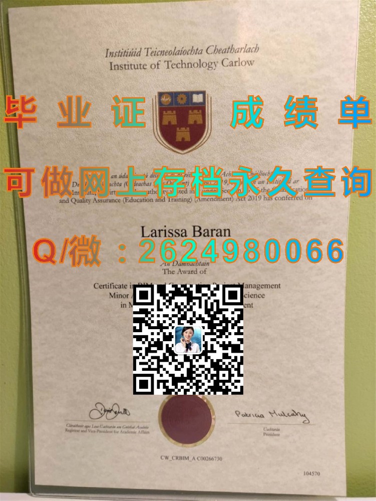 海伯尼亚国立大学毕业证模版|diploma参考|学位证|Transcript图片|文凭样本）