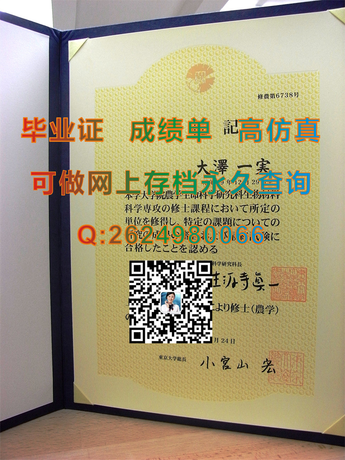 日本东京大学毕业证书、文凭、学位记外壳制作|The University of Tokyo学位证|日本大学毕业证样本）