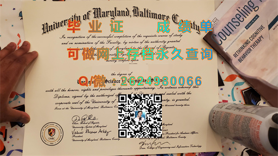 马里兰大学巴尔的摩分校毕业证文凭样本|University of Maryland, Baltimore transcript|留信网认证办理）