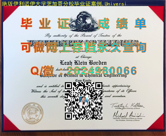 伊利诺斯大学.jpg