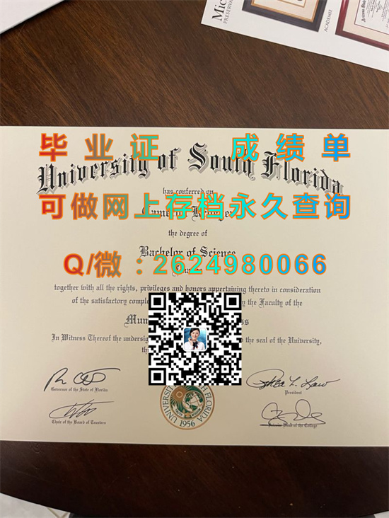 南佛罗里达大学毕业证成绩单定制|University of South Florida diploma|美国USF文凭代办|留信网认证入网可查）