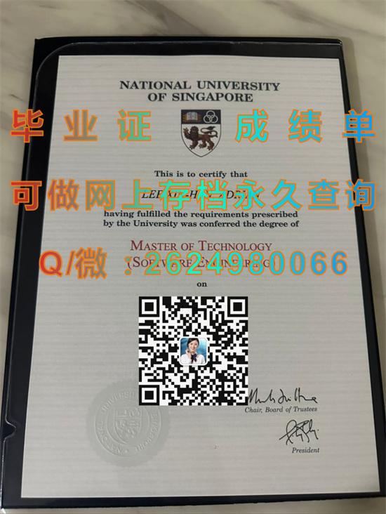 新加坡国立大学文凭外壳样本|National University of Singapore diploma|新加坡NUS毕业证定制）