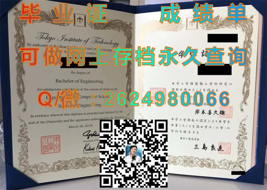 千葉大学毕业证毕业证模版|diploma参考|学位证|Transcript图片|文凭样本）