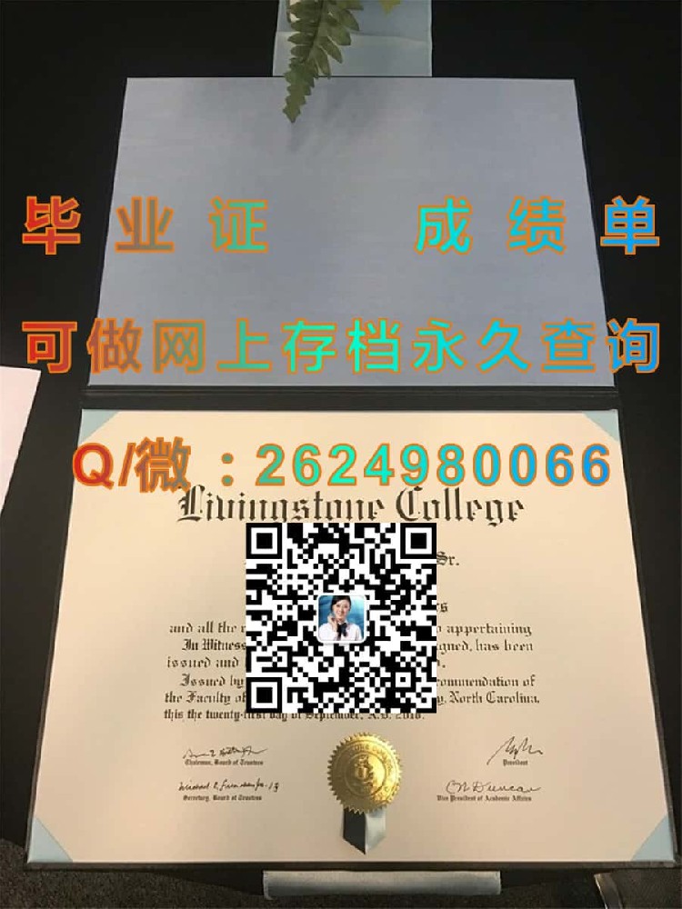 北密歇根大学文凭毕业证模版|diploma参考|学位证|Transcript图片|文凭样本）