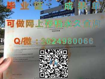 提升求职竞争力：法国土伦大学毕业证如何突出个人优势）