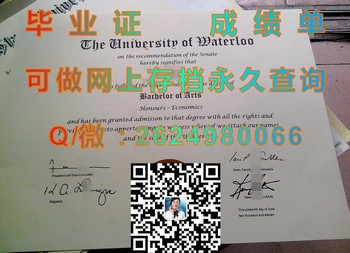 加拿大滑铁卢大学实战指南：打造职场强人之路！）