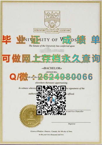 加拿大温莎大学毕业证攻略：简单步骤实现顺利毕业）