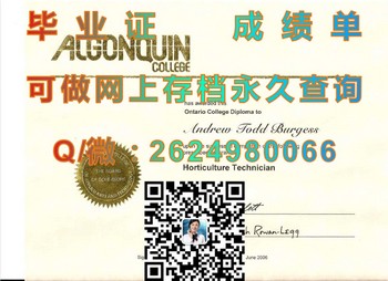 加拿大亚冈昆学院毕业证：突破学业瓶颈的智慧选择）