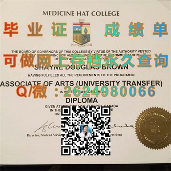 梅迪辛哈特学院文凭：实现梦想的跳板）