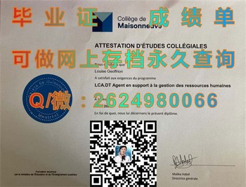 开启国际职场之门——加拿大梅松纳夫学院文凭）