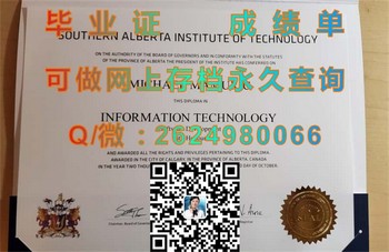跃升国际舞台，加拿大南阿尔伯塔理工学院文凭引领未来）