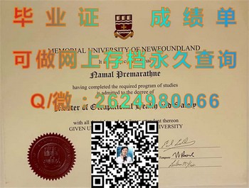 解读加拿大纽芬兰纪念大学毕业证：成功踏上人生巅峰）