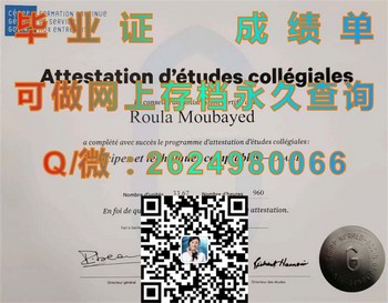 热拉尔戈丹学院毕业证：实现你的创意梦想）