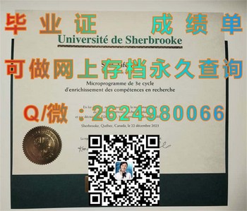 探索加拿大舍布鲁克大学毕业证的奇幻故事）