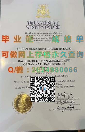 西安大略大学文凭：开启人生职业巅峰的秘籍）