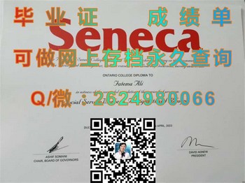 辛尼加应用艺术及技术学院文凭：成就你的职业梦想）