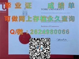 《布里斯托大学学位证书全解析：揭秘国际认可的毕业证内涵与价值》）