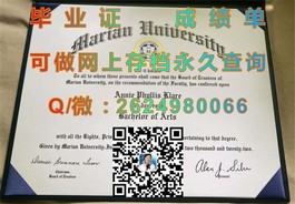 《慕尼黑工业大学毕业证含金量揭秘：权威认证助力国际职场发展》）