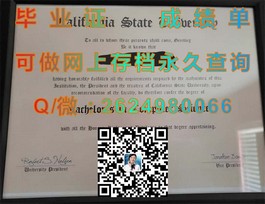 《布里斯托大学毕业证书背后的故事：权威认证与全球认可》）