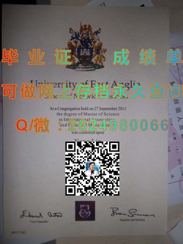 《慕尼黑工业大学毕业证：揭秘欧洲工程精英的荣誉通行证》）