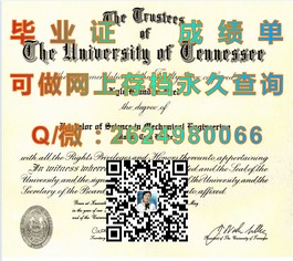 《都柏林理工学院毕业证揭秘：权威认证，全球认可的学术通行证》）