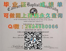 《都柏林理工学院毕业证含金量揭秘：全球认可的学历证书解析》）
