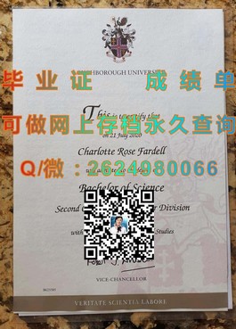 《揭秘都柏林理工学院毕业证书的含金量：毕业生的全球竞争力解析》）