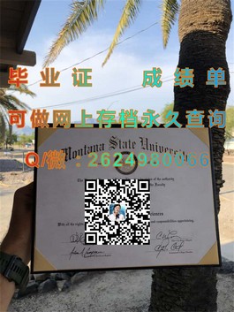 《S.P.Jain管理学院毕业证揭秘：含金量如何，就业前景如何？》）