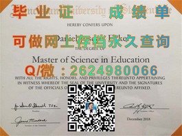 《新加坡共和理工学院毕业证书揭秘：全球认可，成就你的留学梦想》）