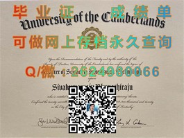 《怀卡托大学文凭揭秘：国际认可与就业优势一览》）