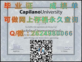《卧龙岗大学官方认证毕业证详解：如何辨别真伪，助力留学求职》）