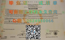 《圣安德鲁斯大学认证毕业证书：详解国际认可与职场优势》）