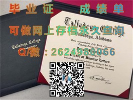《布里斯托大学毕业证书揭秘：权威认证，留学必备凭证》）