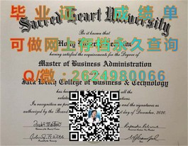 《布里斯托大学文凭解析：深入了解毕业证书的含金量与价值》）