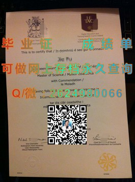 《慕尼黑工业大学毕业证书背后的故事：揭秘国际精英的荣耀凭证》）
