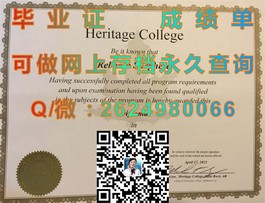 《都柏林理工学院毕业证：权威认证，开启国际职场新篇章》）