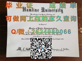 《都柏林理工学院毕业证书揭秘：含金量高，全球认可的学位凭证》）