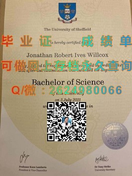 《解锁国际视野：新南威尔士大学学历认证，你的留学梦想起点》）