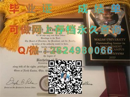 《法国威勒高等商学院：毕业证书含金量揭秘，留学就业双重保障》）