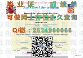 《解锁国际认可：揭秘新南威尔士大学毕业证背后的价值与优势》）