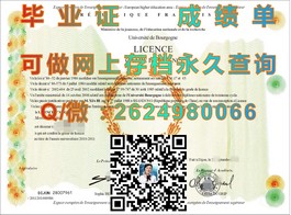 《圣安德鲁斯大学证书：揭秘世界顶级学府的荣誉通行证》）