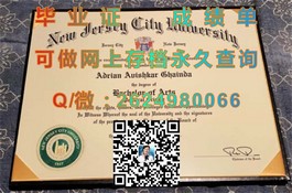 《揭秘都柏林理工学院毕业证含金量：如何让你的学历更具国际竞争力》）