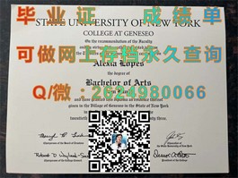《新南威尔士大学官方毕业证书详解：权威认证，留学回国就业双重保障》）