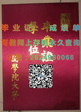 《都柏林理工学院毕业证：权威认证，开启国际职场新篇章》）