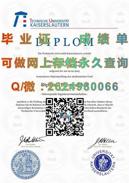 《揭秘都柏林理工学院毕业证含金量：权威认证助力未来职场起航》）